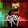 Steps to Fix Stray Low FPS Issues